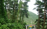 ūǮ�ؼ�����
